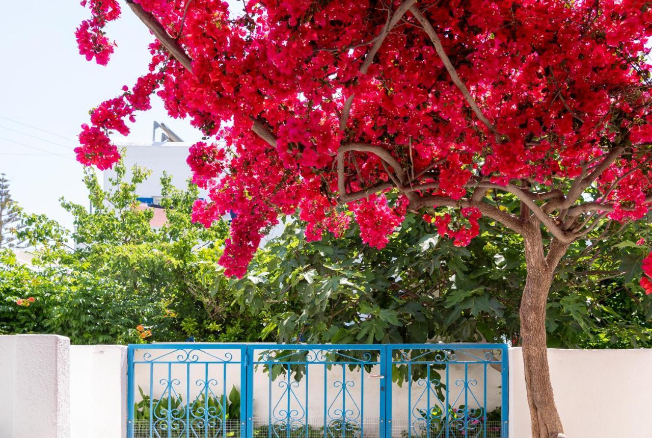 Ayeri Hotel باروس المظهر الخارجي الصورة